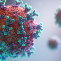 Infecciones Respiratorias + Covid19